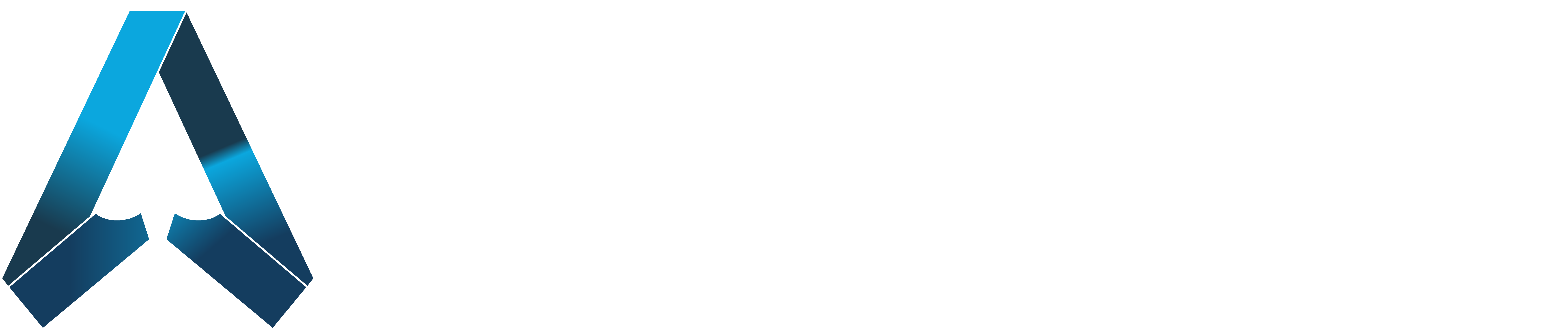 logo1